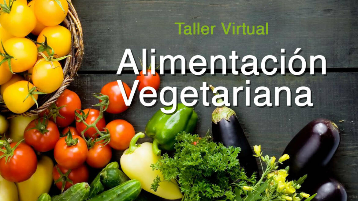 Taller Alimentación Vegetariana Noviembre 2022